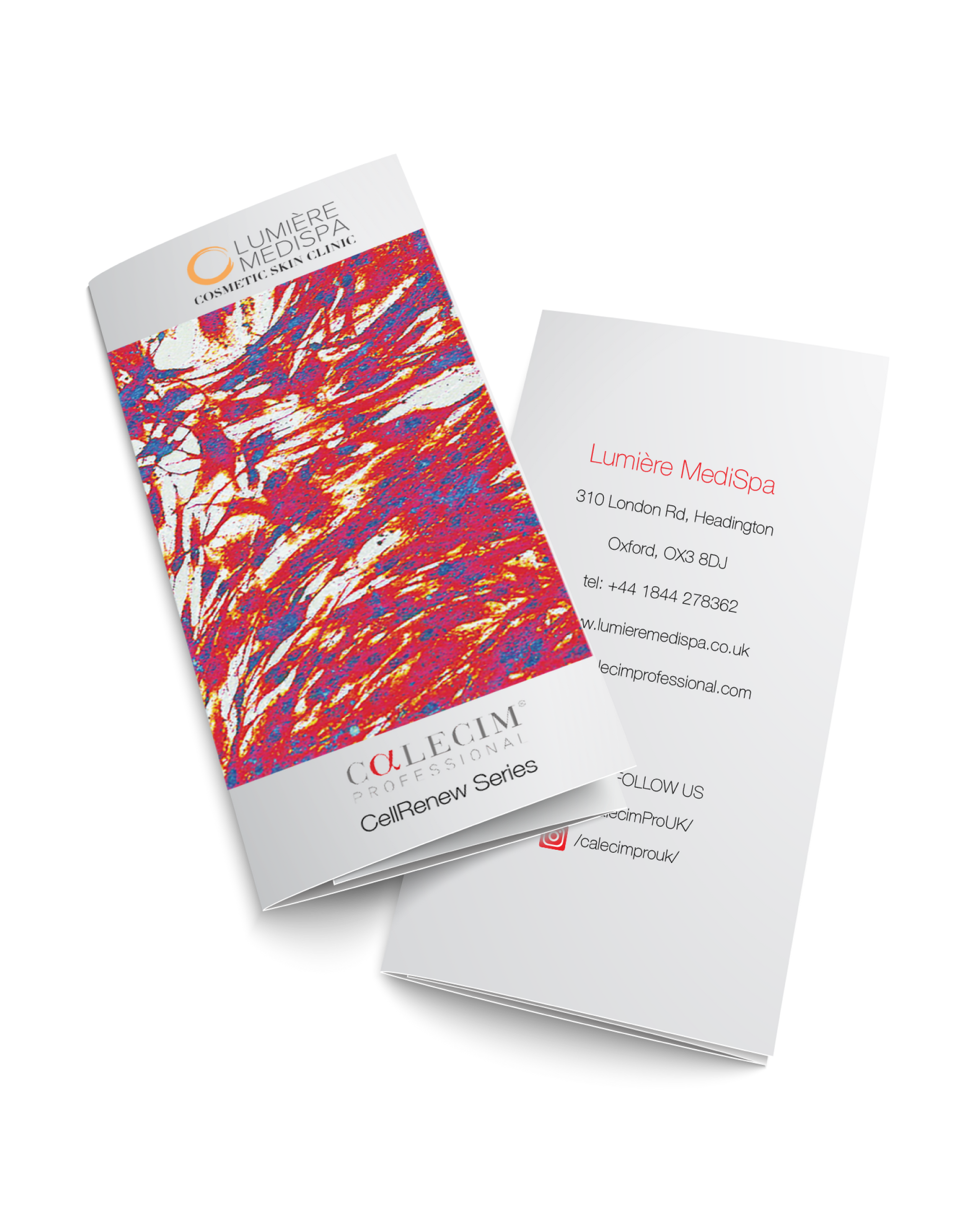 Co-curated Brochure
