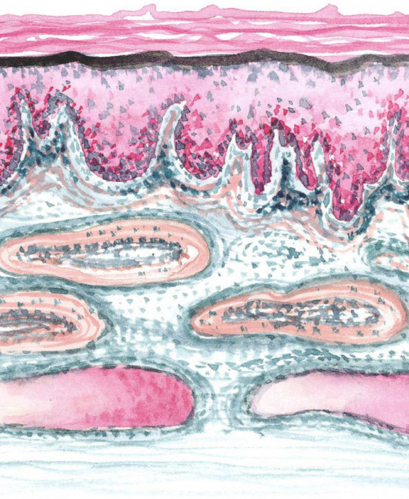 Medical_Homepage_Categories_Pro_Site-03