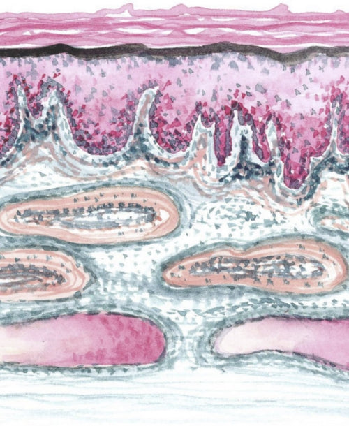 Medical_Homepage_Categories_Pro_Site-03_b9425533-85a7-4411-86f0-8a249039f0d0